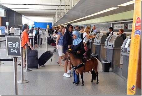 SWA comfort horse at ticket counter
